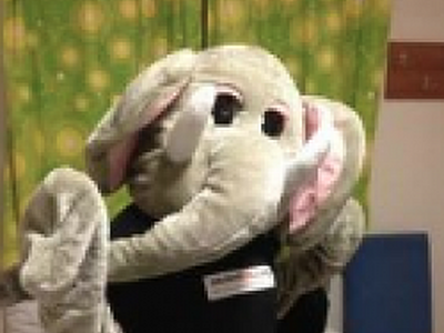 Elephant in the room