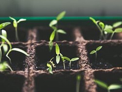 Keep sowing