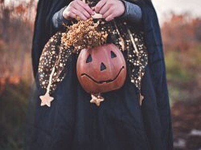 Hocus Pocus or a pile of bogus?