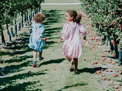 Getting the best from your small group: Reforming