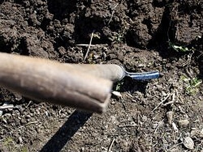 Dig a little deeper...