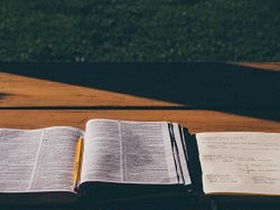 Multiplying Groups Online