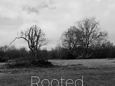 Rooted