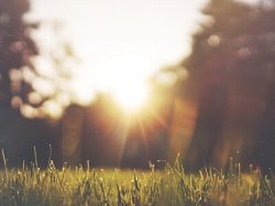 The spacious place of summer