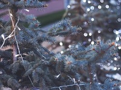 Driving home for Christmas